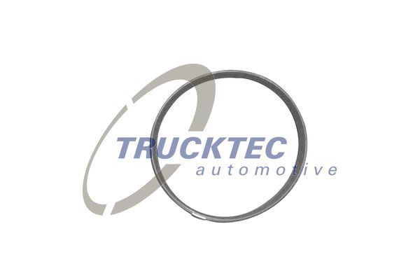 TRUCKTEC AUTOMOTIVE tarpiklis, įsiurbimo kolektoriaus korpusas 08.13.001